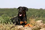 BEAUCERON 764
